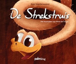 Voorbeeld omslag van het boek "De Strekstruis"
