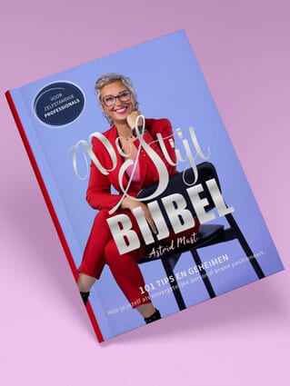 Omslag van het boek "de stijl bijbel"