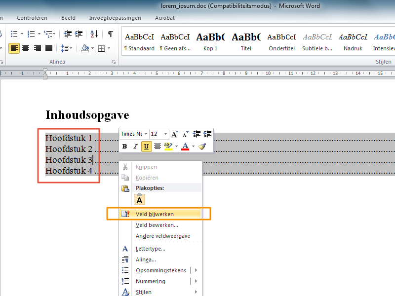 Inhoudsopgave maken in Office 2010 stap 11