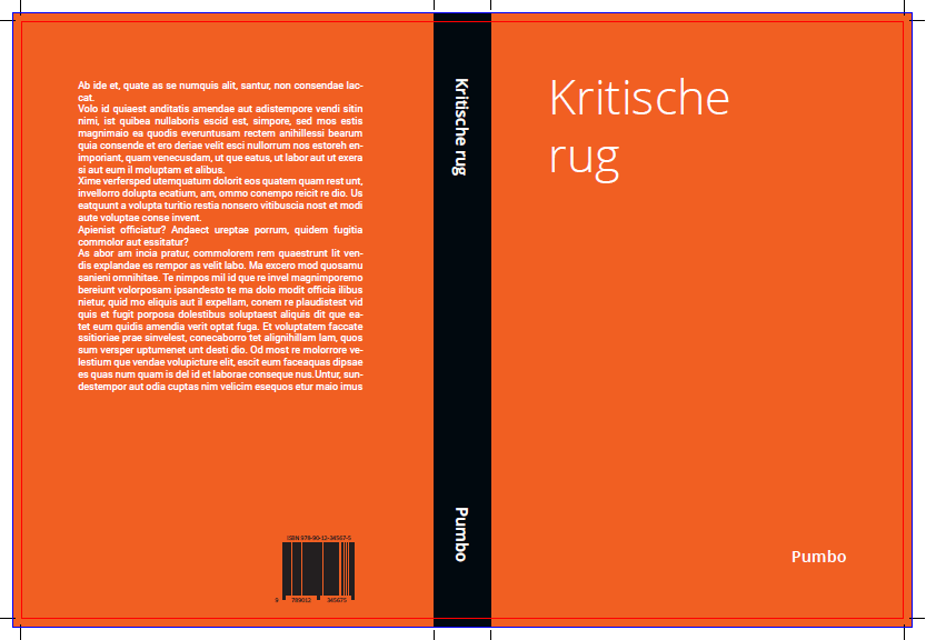 Kritische rug