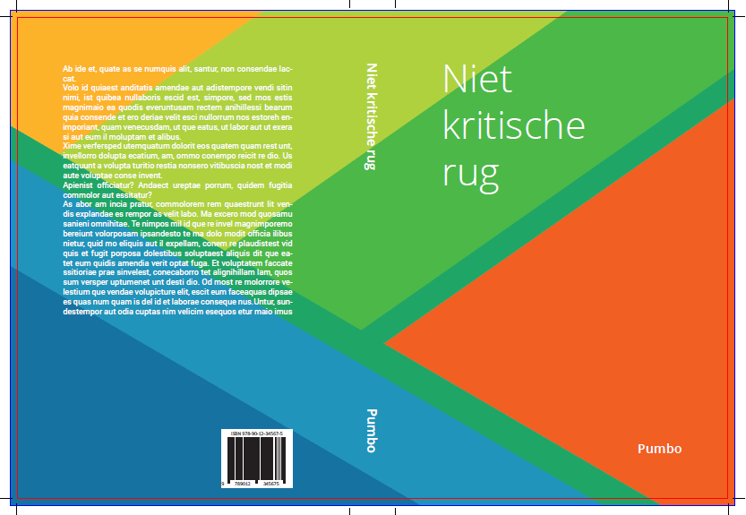 Niet-kritische rug (voorbeeld 2)