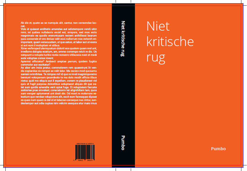 Niet-kritische rug (voorbeeld 1)