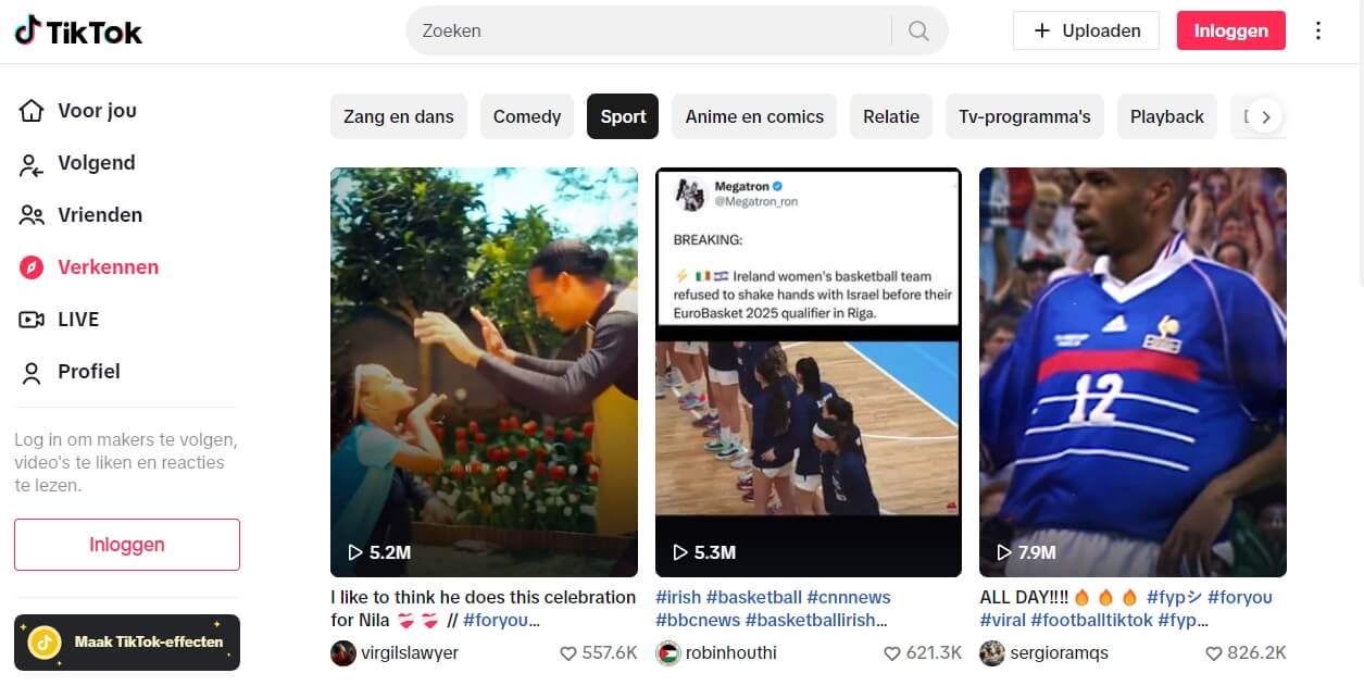 Voorbeeld TikTok website