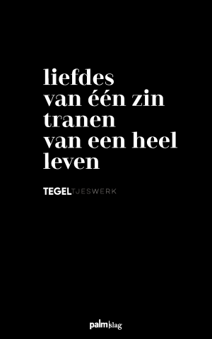 Voorbeeld omslag van het boek "Liefdes van één zin tranen van een heel leven"